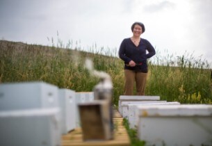 Beekeeping Program at Ford